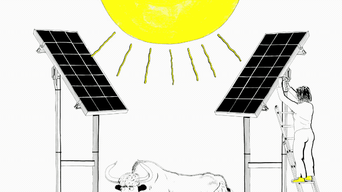 Can solar farms feed yaks?