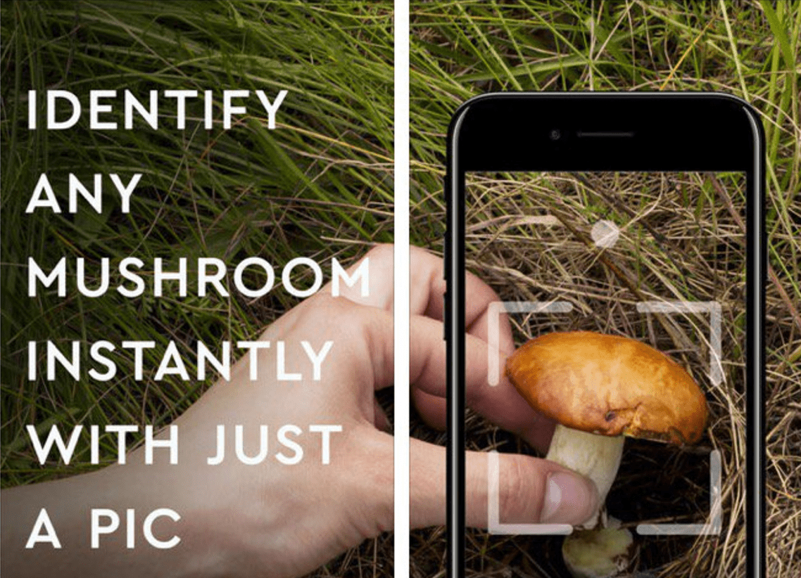 mushroom ios