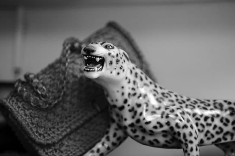 IPhone tiger black and white