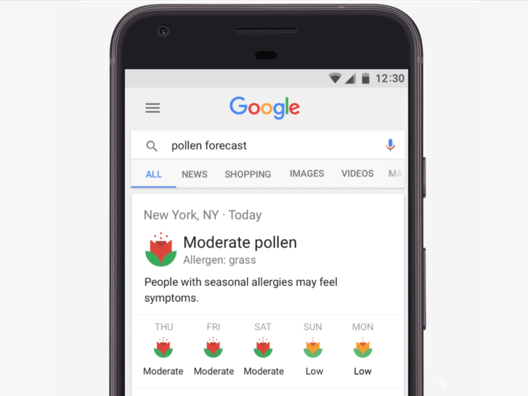 Google search pollen forecasts