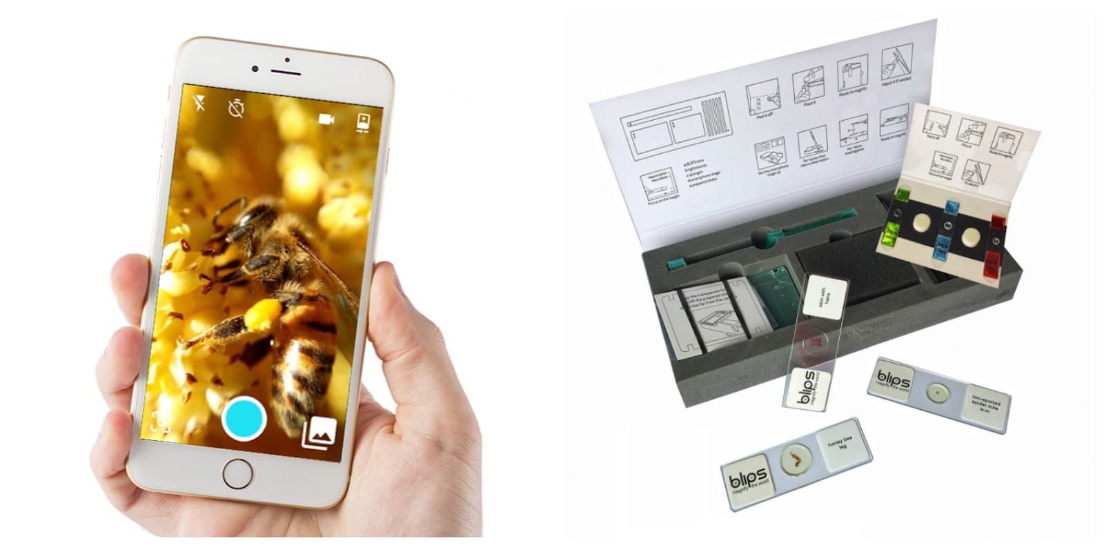 These simple stick-on macro lenses turn your iPhone into a mobile microscope.