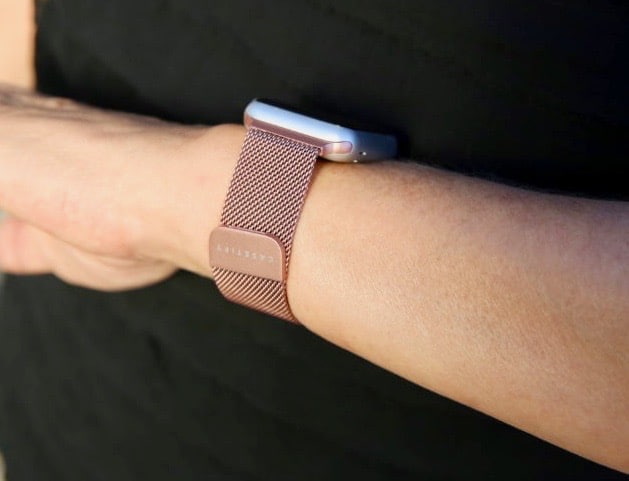 Casetify Stainless Steel Mesh Band