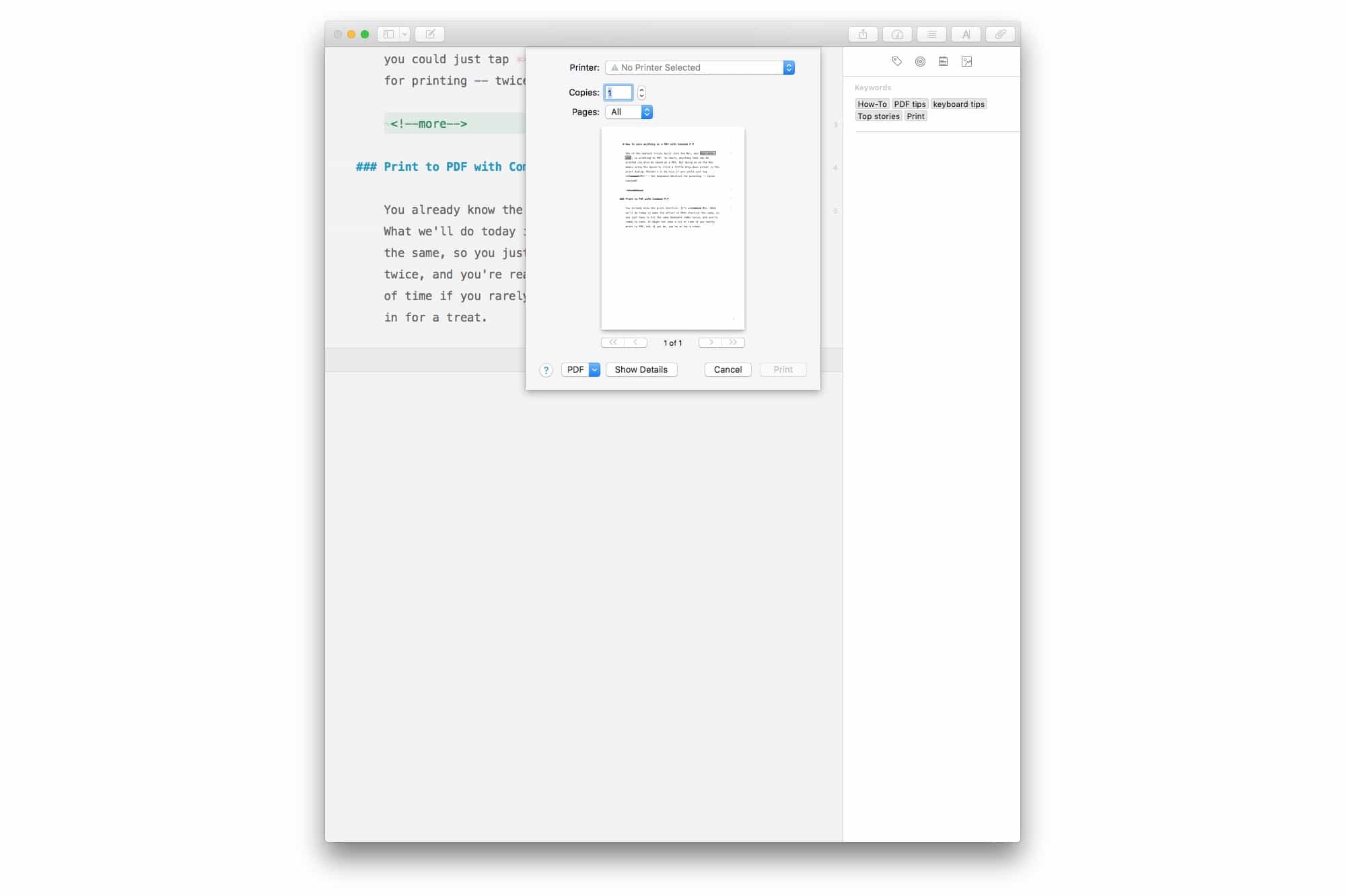 Print screen This is what you see when you hit Command P.
