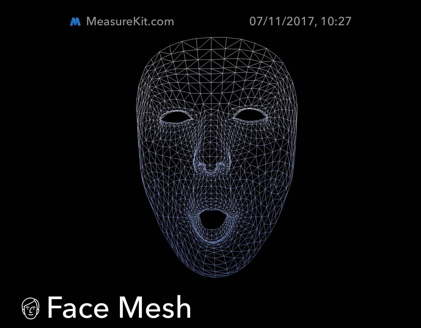 face mesh