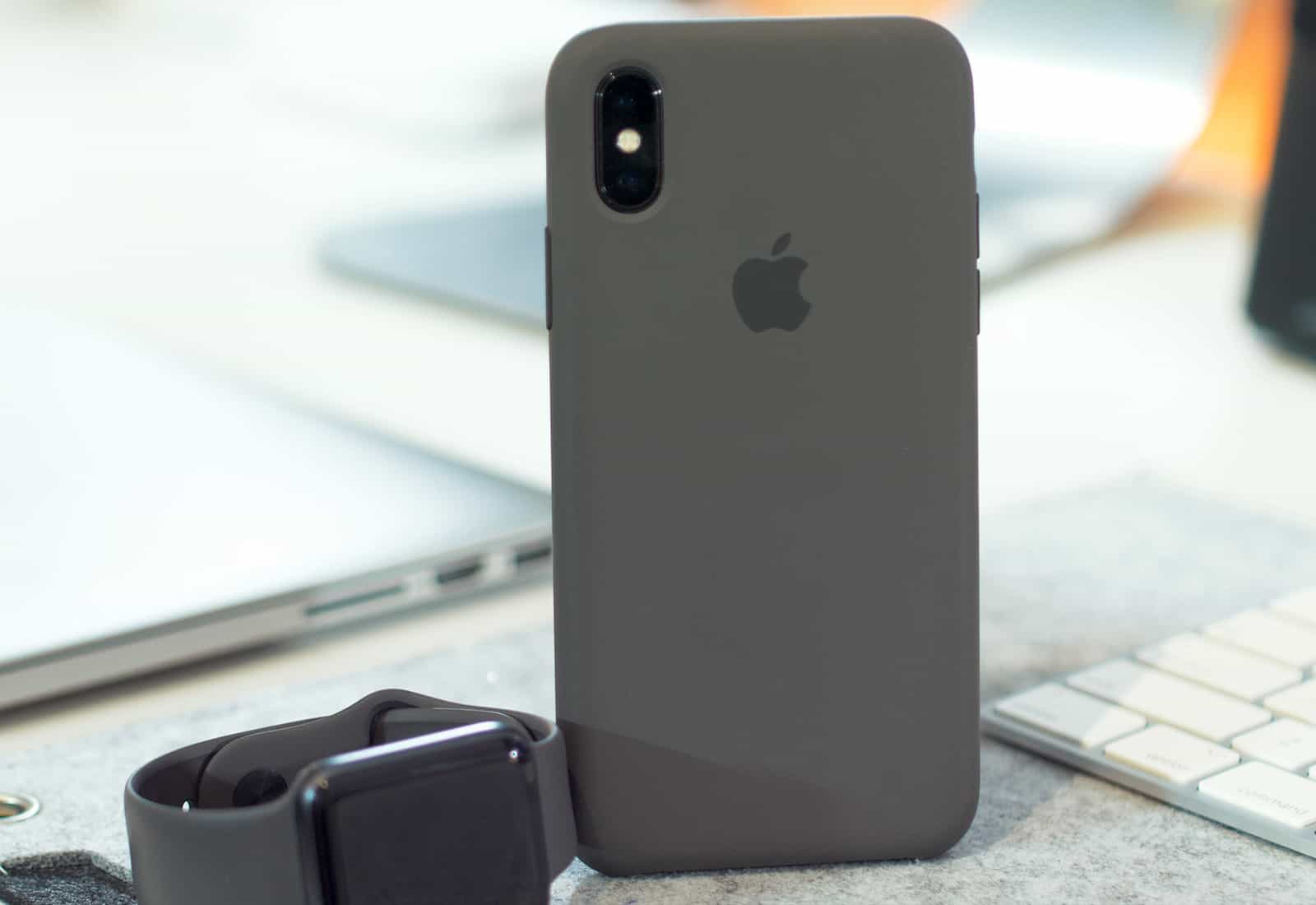 iPhone X apple case
