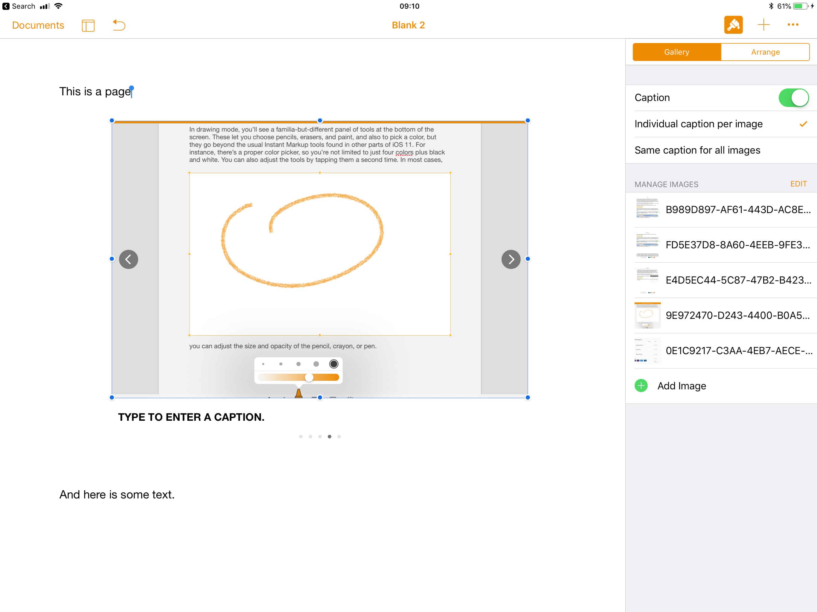 Image gallery captions Add captions to individual slides, or to all of them at once.