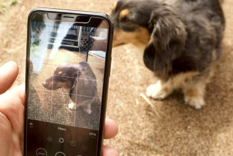 Obscura 2 camera app taking a photo of a dog