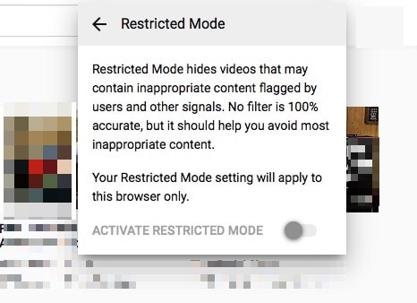 Activate YouTube's restricted mode.