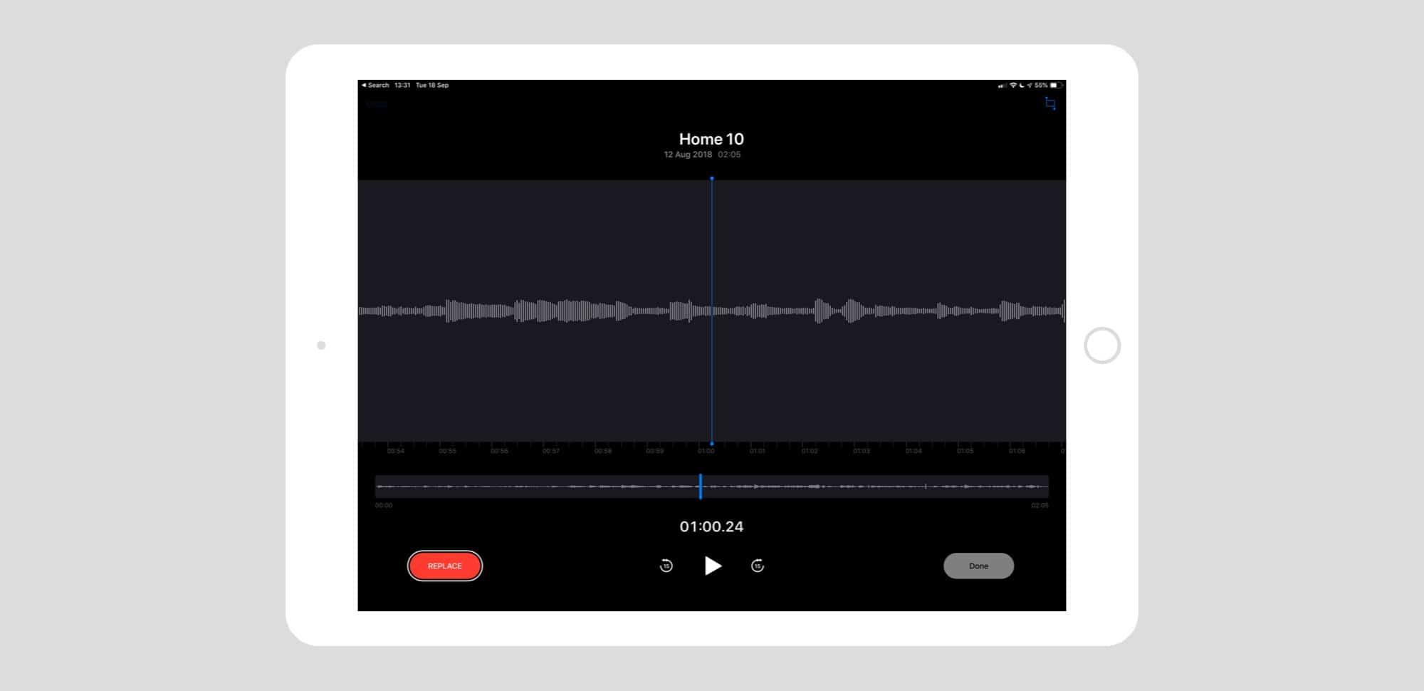 You can quickly make corrections to your Voice Memos recordings, or do deep editing.