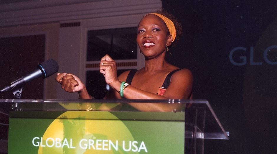Alfre Woodward at Global Green USA's 12th Annual Millennium Awards.