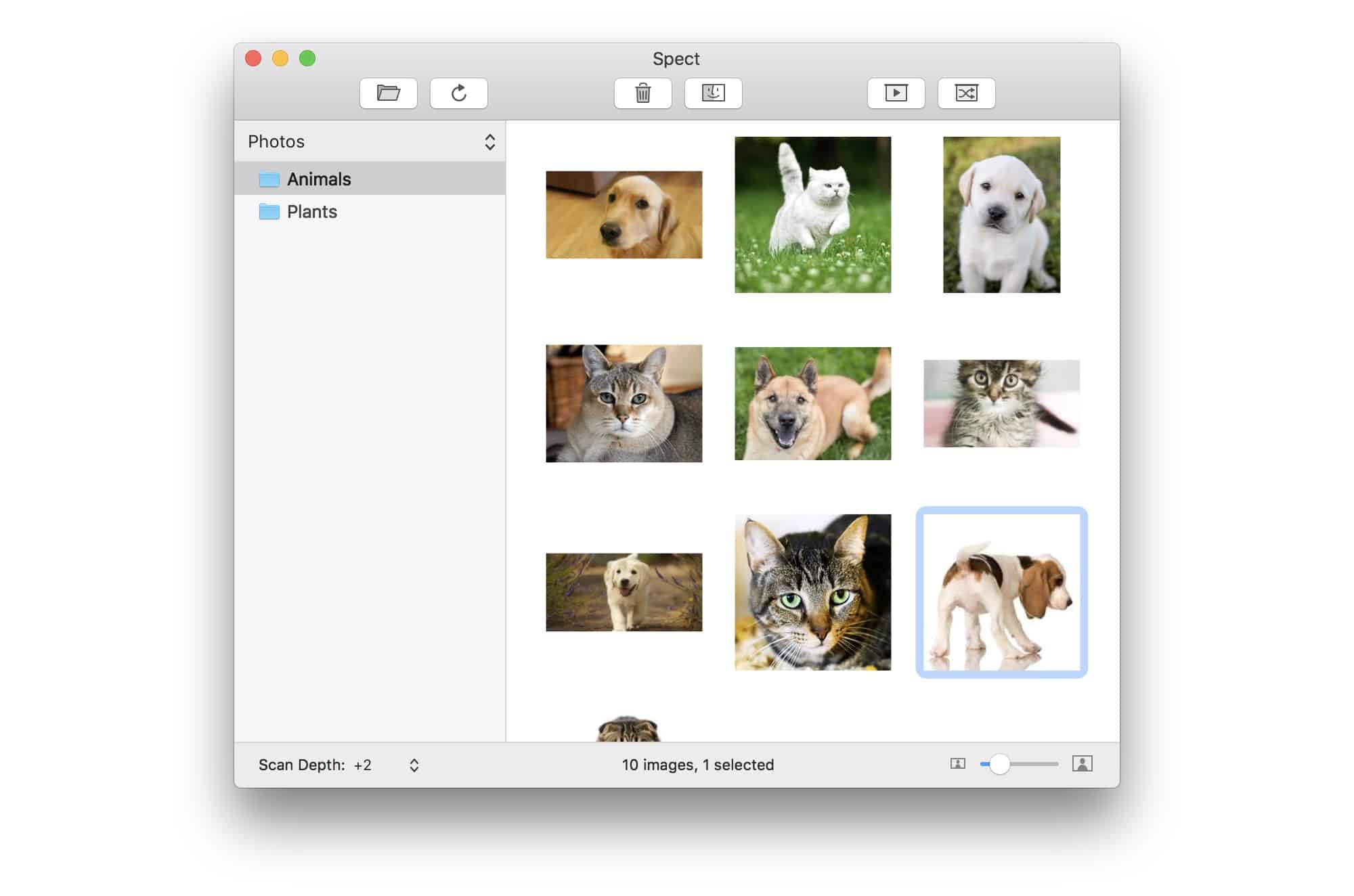 Spect is an ultra-light image browser from Panic founder Steven Frank.