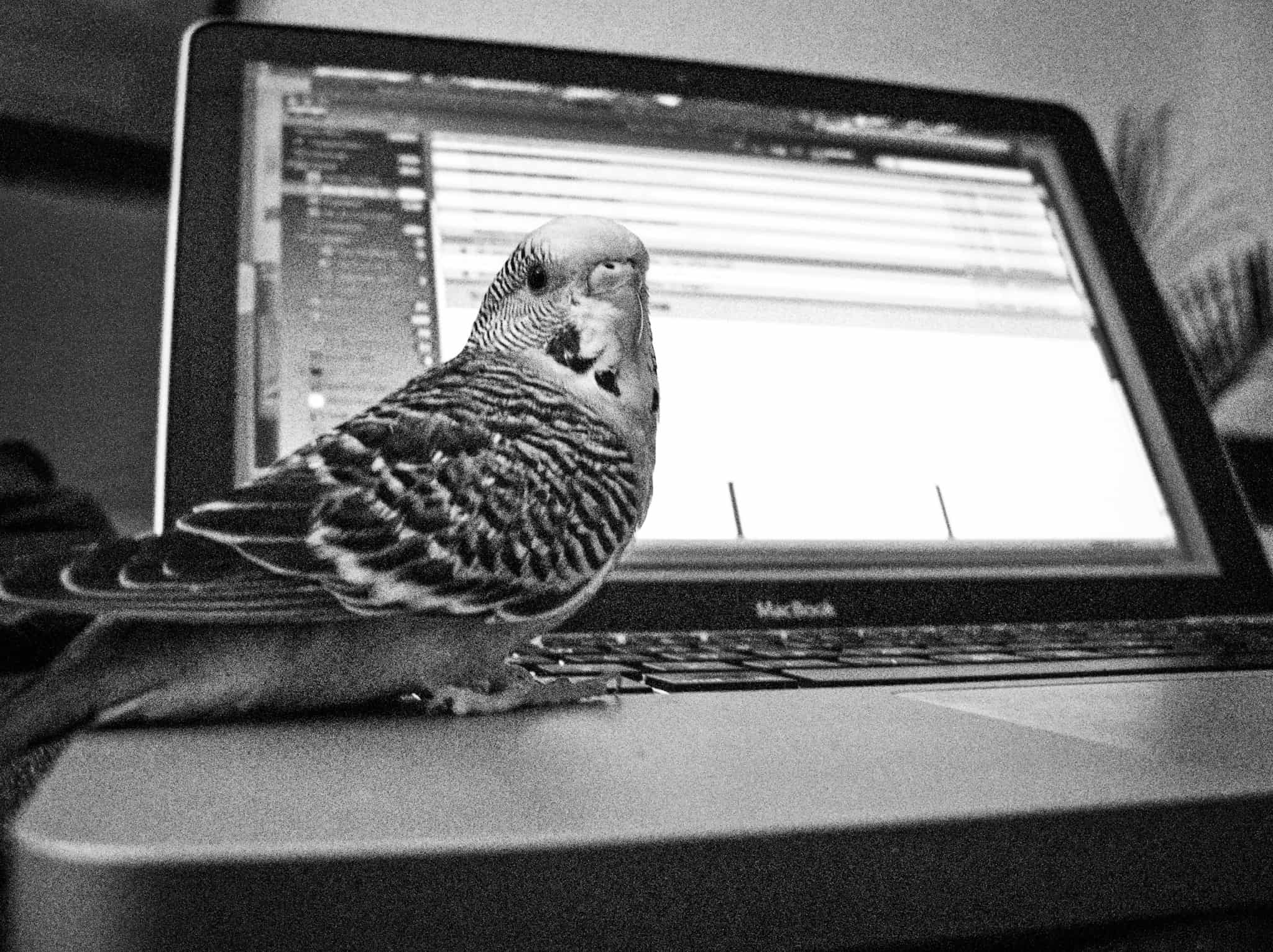 Even this little birdy is deleting his tweets.