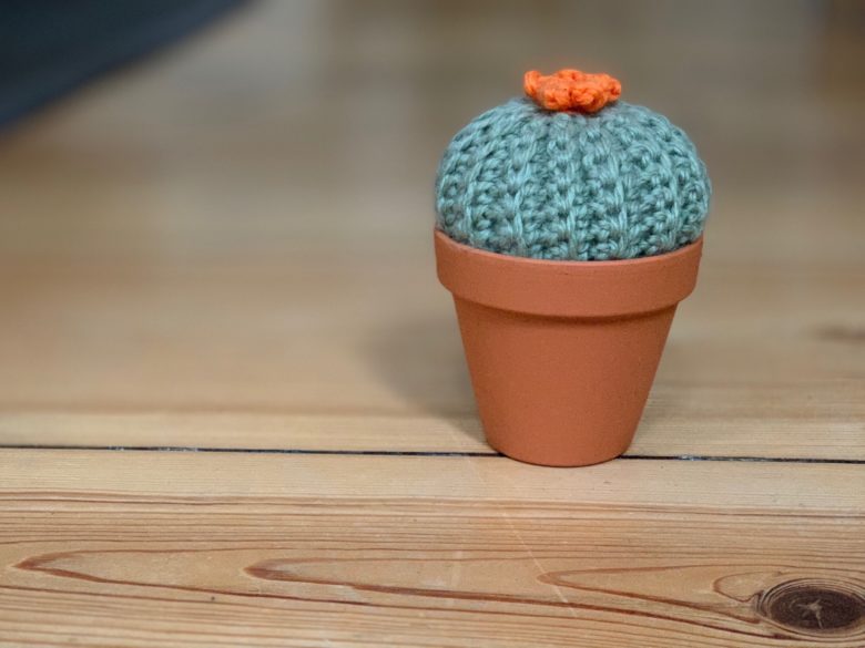 A crochet cactus with a blurry background. Depth Control lets you dial in just the right amount of blur.