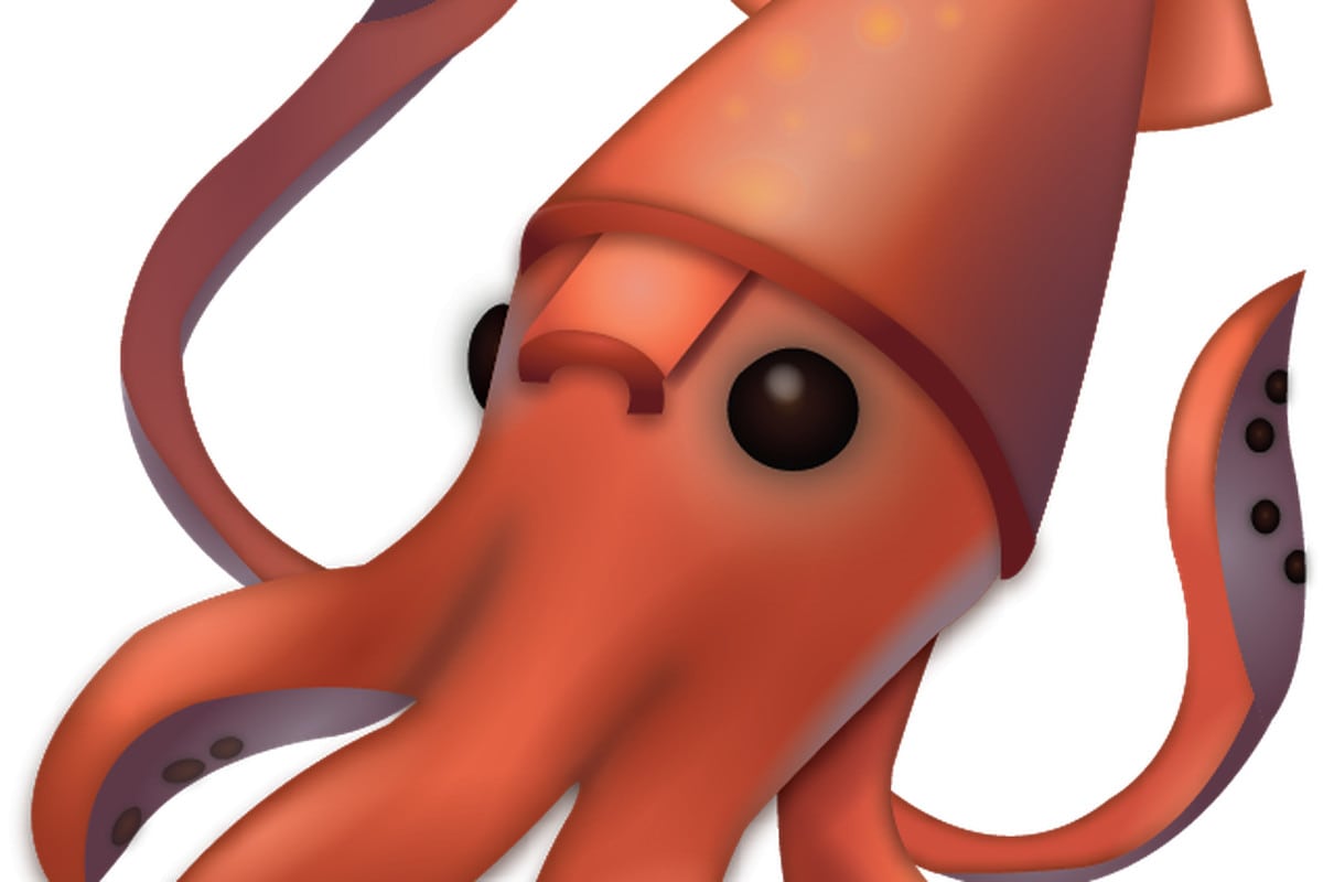 Squid 1