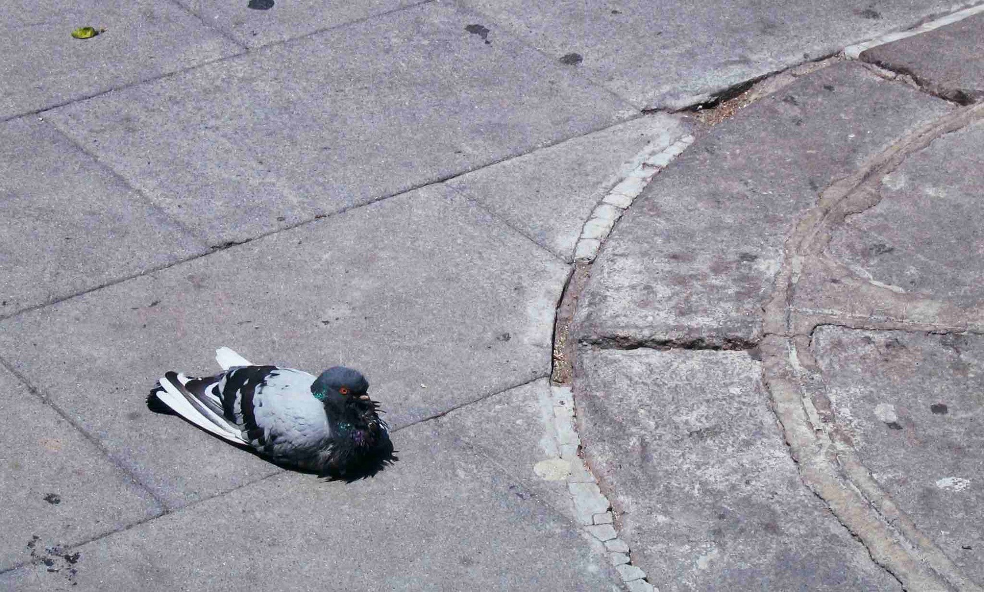 Tweet tweet, delete delete!