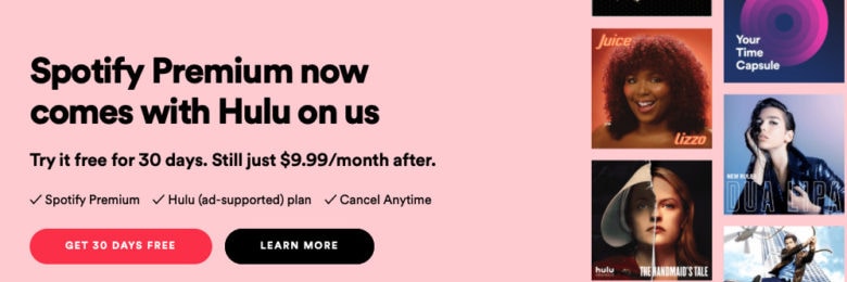 Spotify Hulu bundle