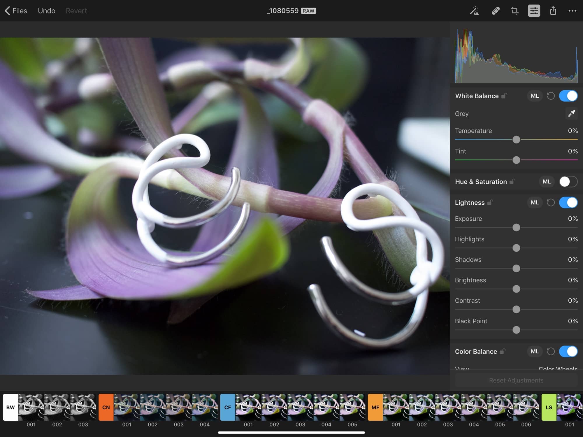 RAW files are right at home in Pixelmator Pro.