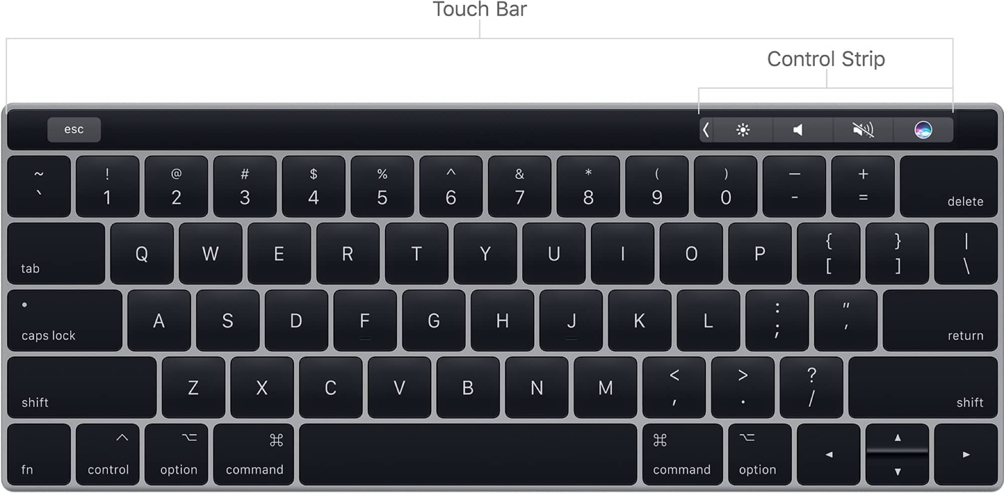 The Control Strip is the bit with the controls in it. The Control Strip is the bit with the controls in it.