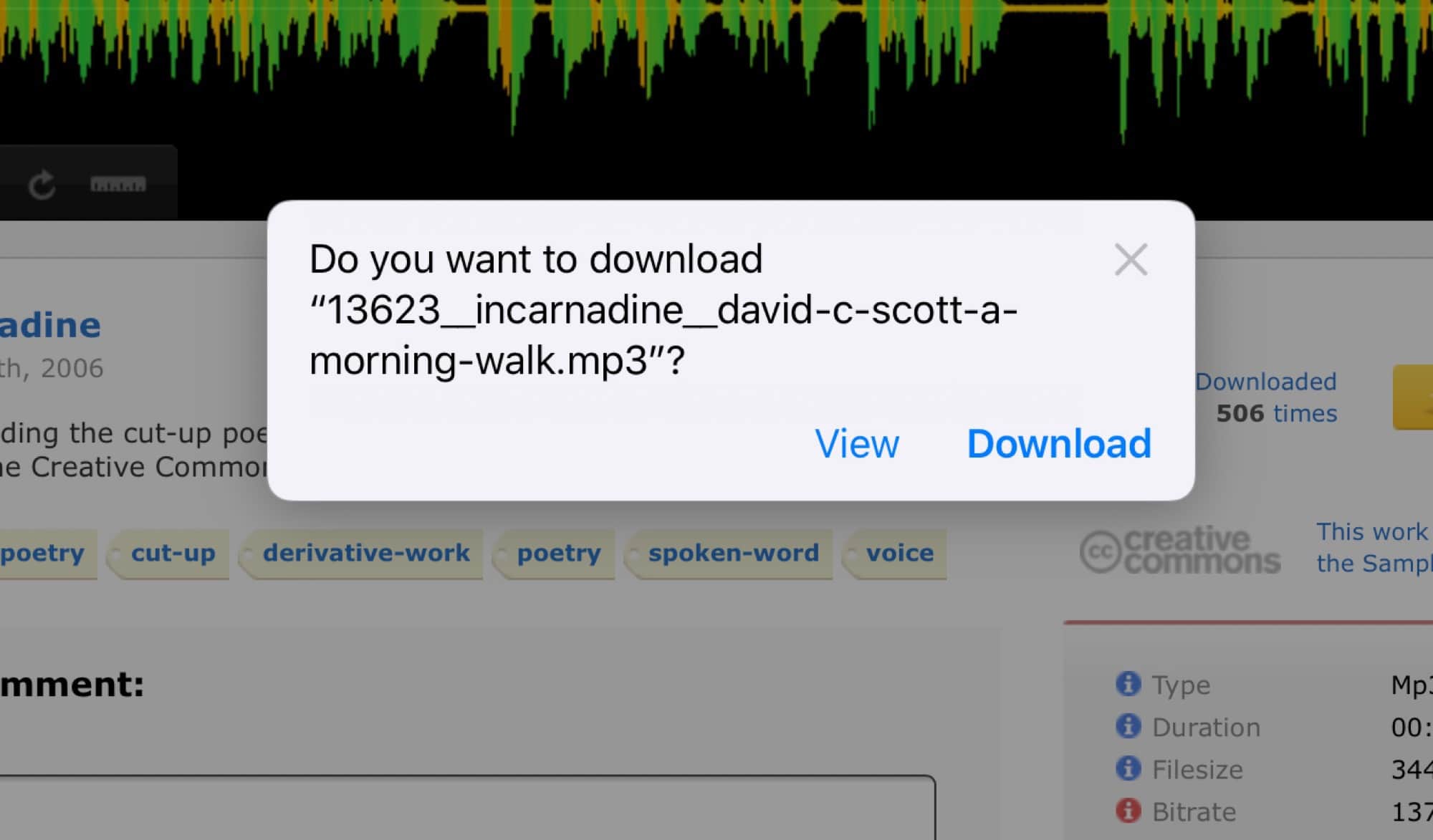 Here you can choose to 'view' or download the MP3 file.