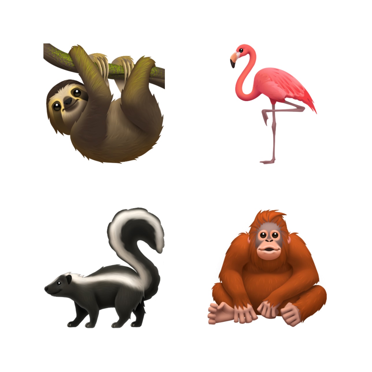 animals