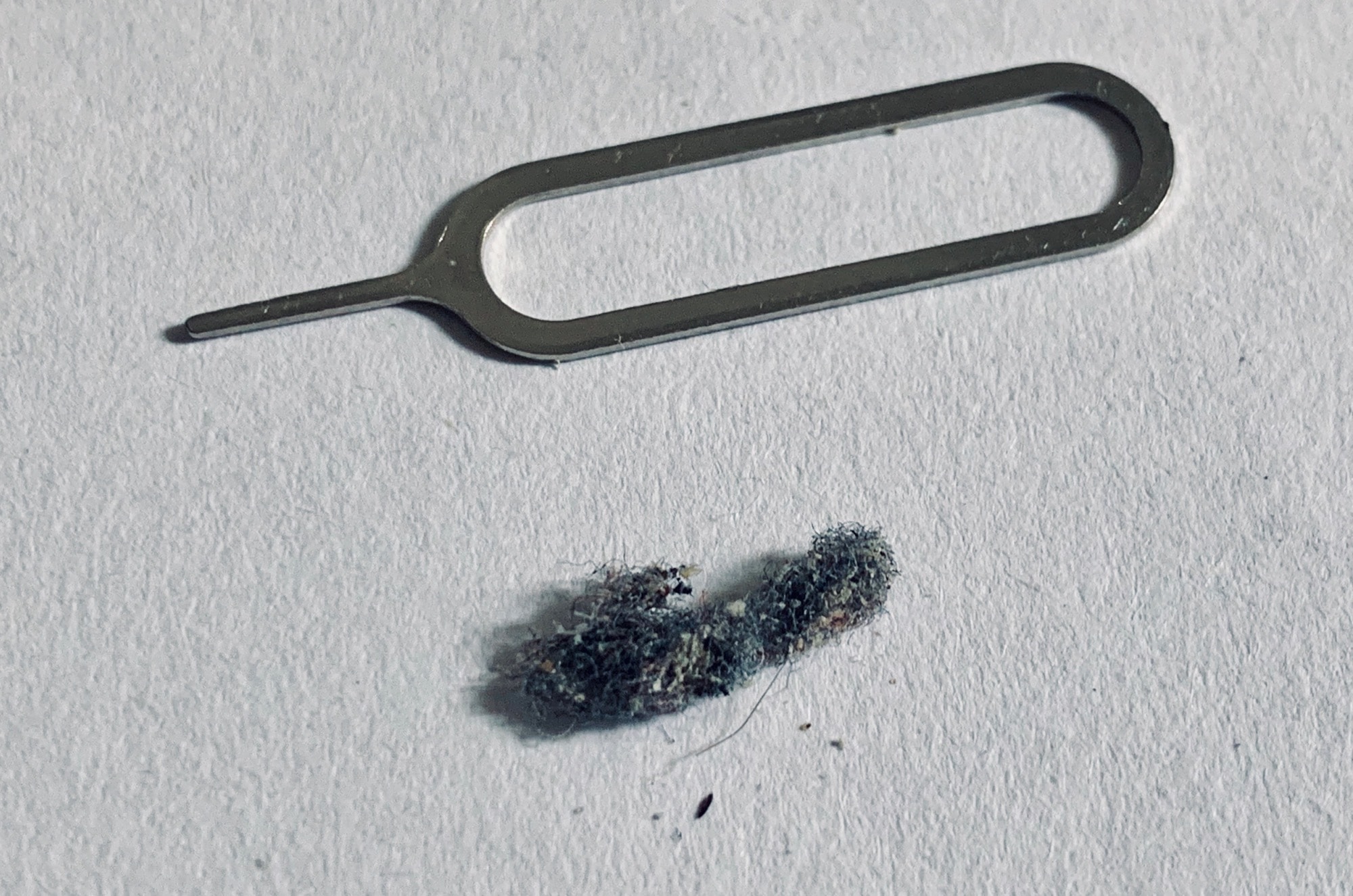 Lint and SIM removal tool