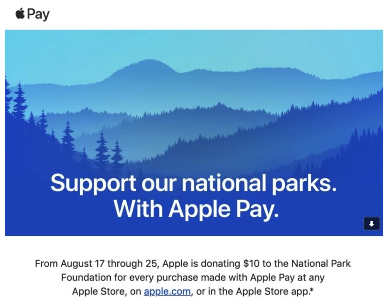 Apple Pay