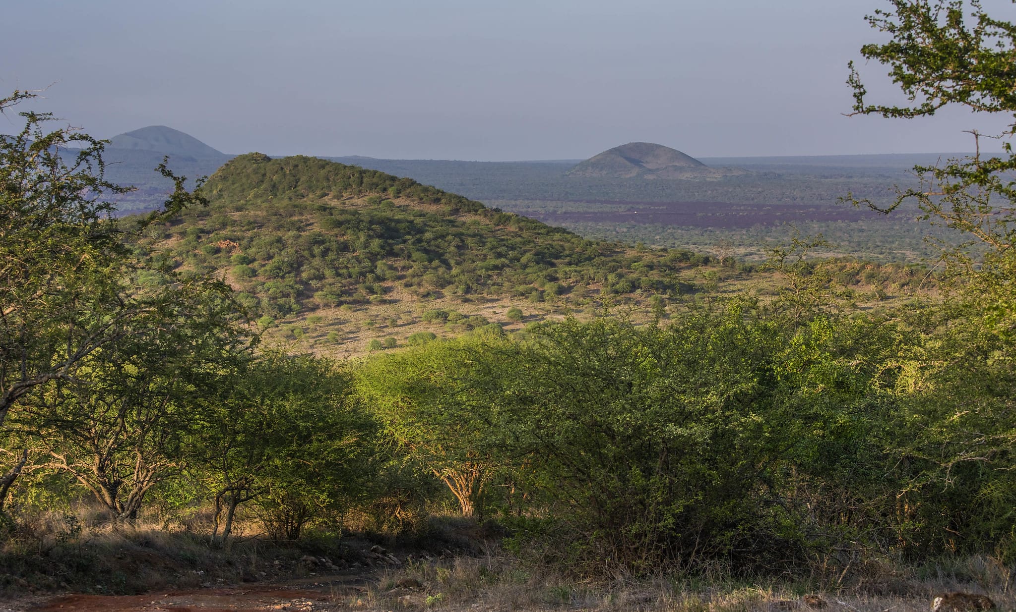 Apple has partnered with Conservation International to fund restoration in Kenya’s Chyulu Hills.