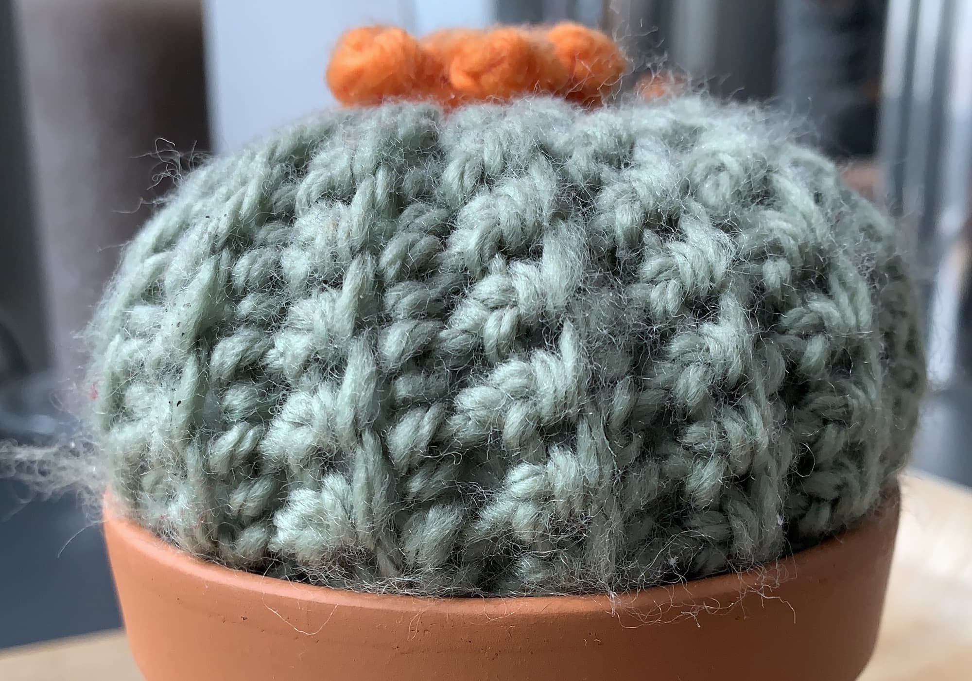 A crocheted cactus.