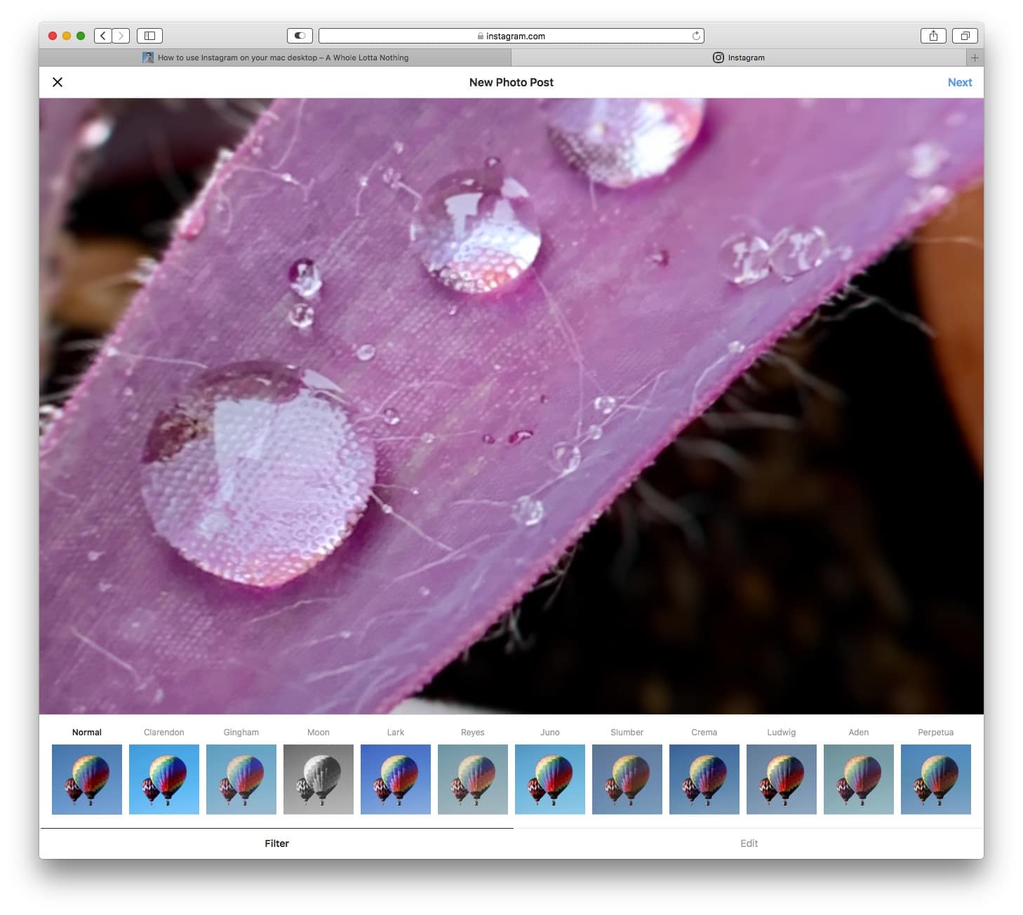 Use Instagram's filters in Safari on the Mac.