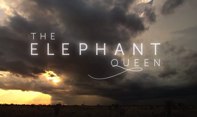 Theelephantqueen