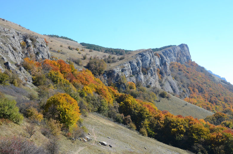 European MPs want Apple Maps correction over Crimea controversy