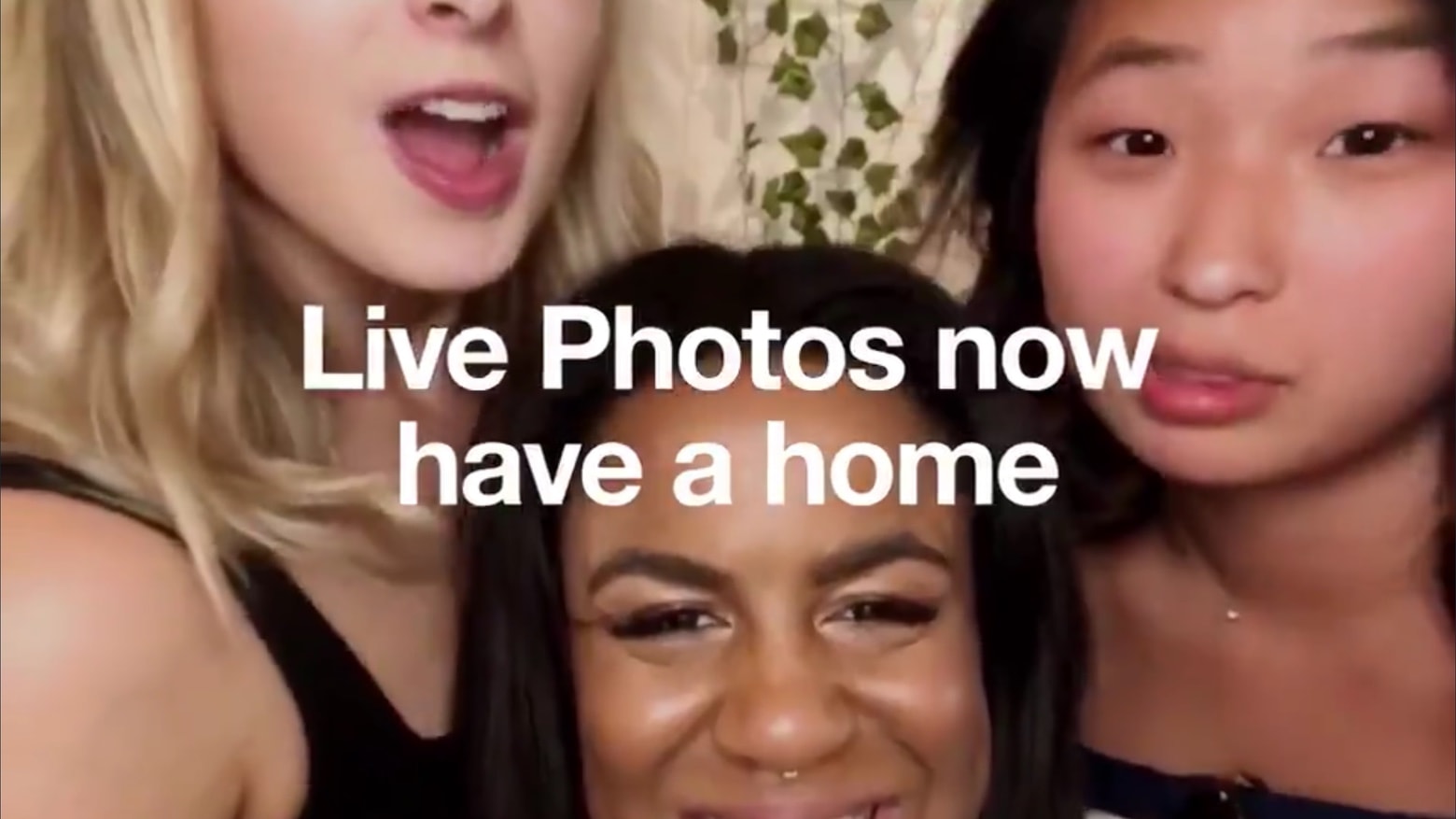 Live Photos can be easily posted onto Twitter