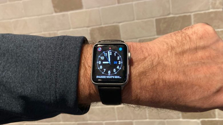 Speidel Royal English Leather Apple Watch Band review: This luxury band closely matches the look of the Apple Watch.