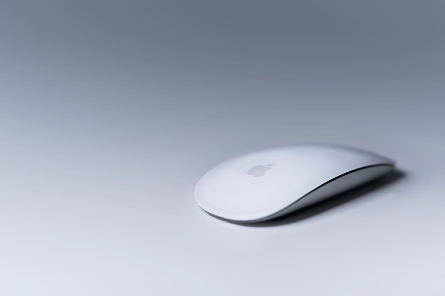 Even the Magic Mouse combines touch, drag and drop better than the iPad.