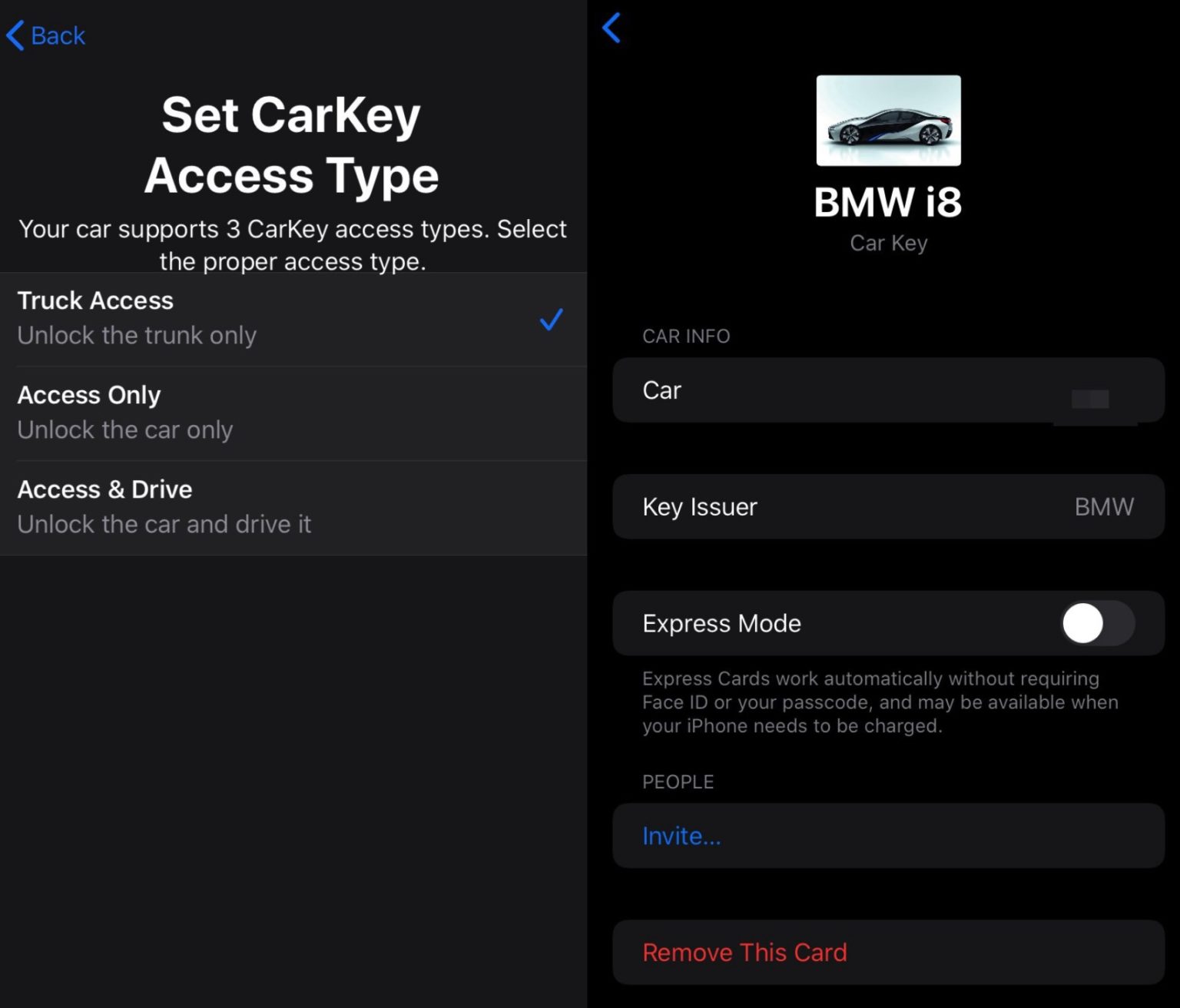 CarKey access type 1