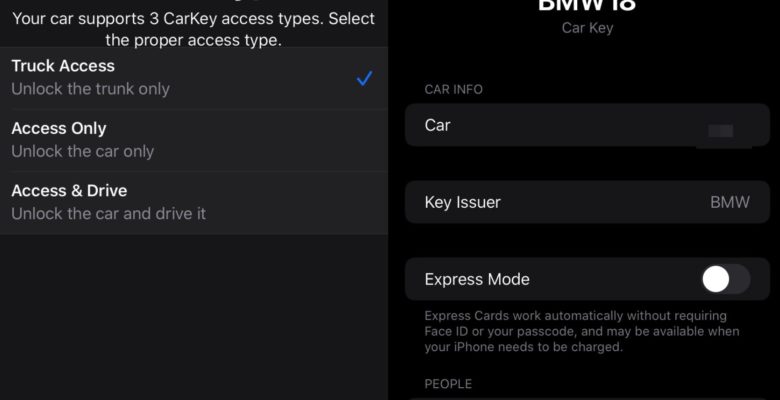 CarKey access type 1