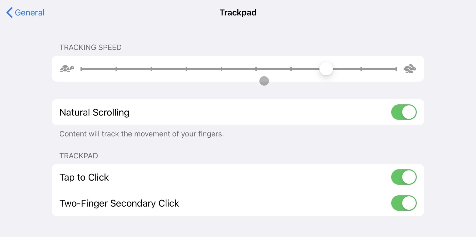 The regular trackpad settings offer several ways to customize iPad trackpad options.