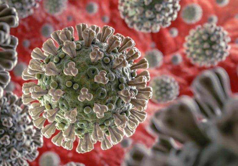 covid.19.coronavirus.graphic1