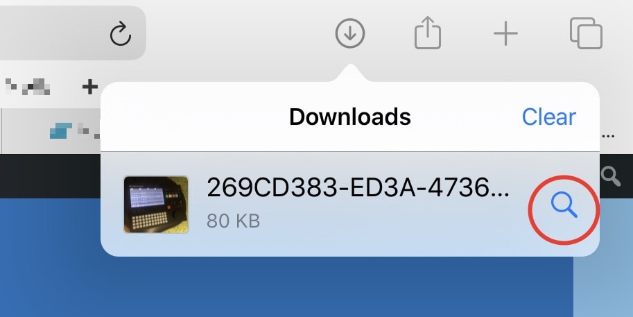 This is what Safari's downloads manager looks like. 