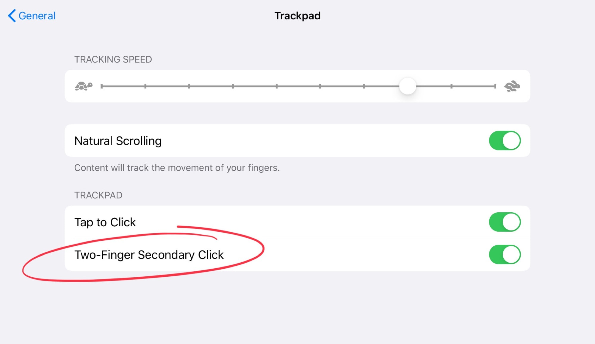 Essential iPad trackpad gestures: Enable one or both of these settings. 