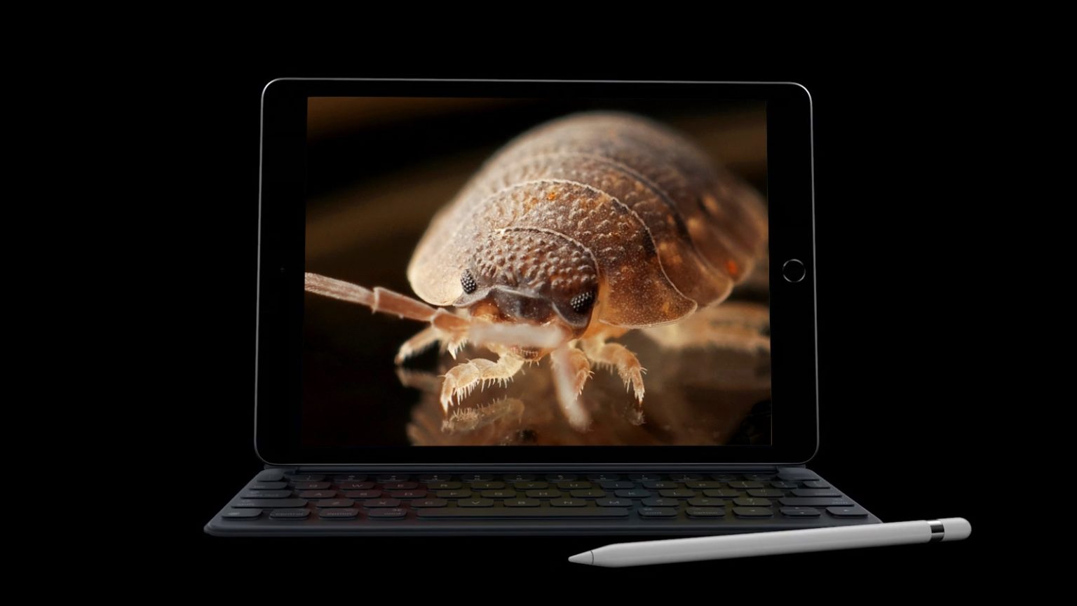 Even the best iPads have bugs