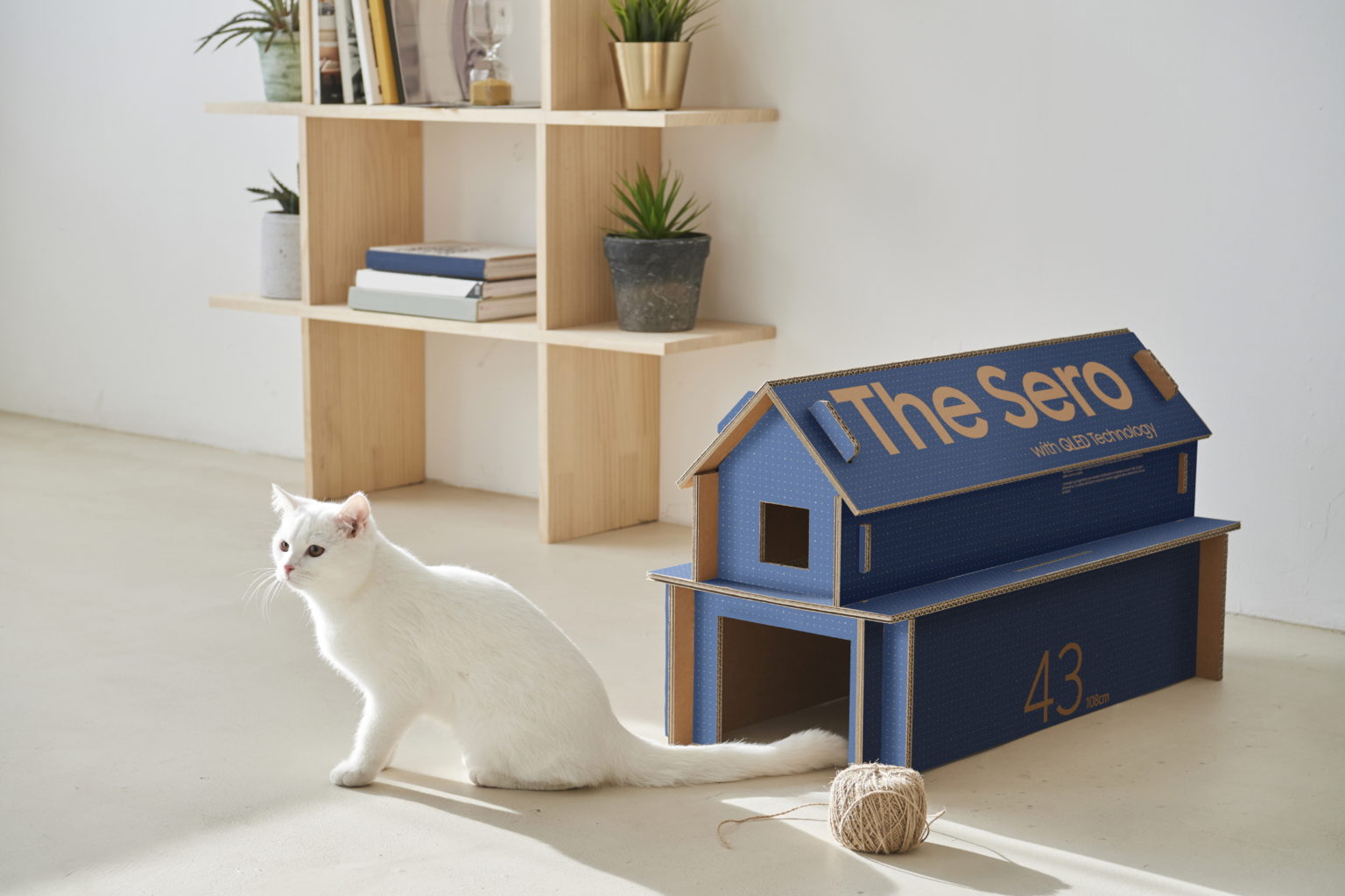 Samsung-TV-box-cat-house