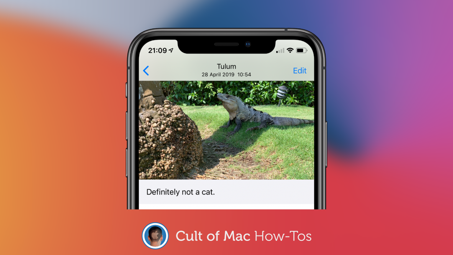 How to add captions to photos in iOS 14