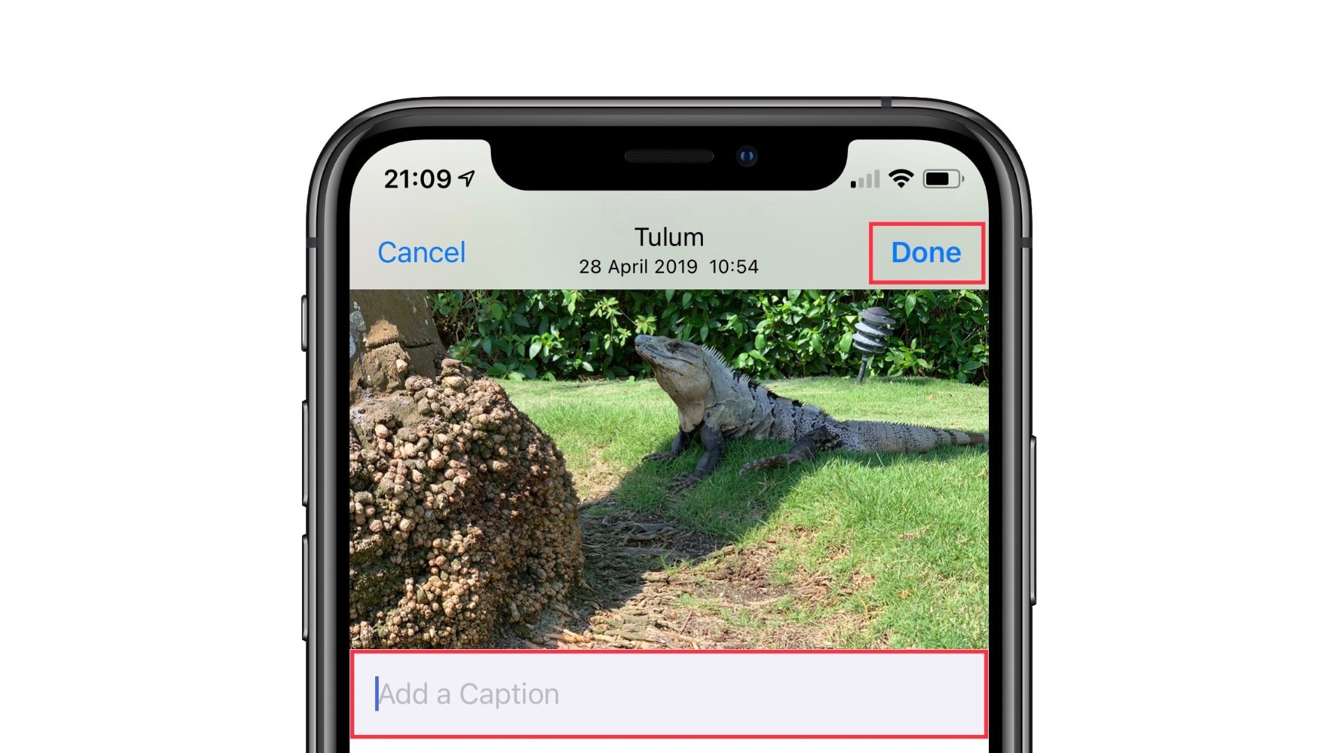 Caption Photos iOS 14 How to add captions to photos in iOS 14
