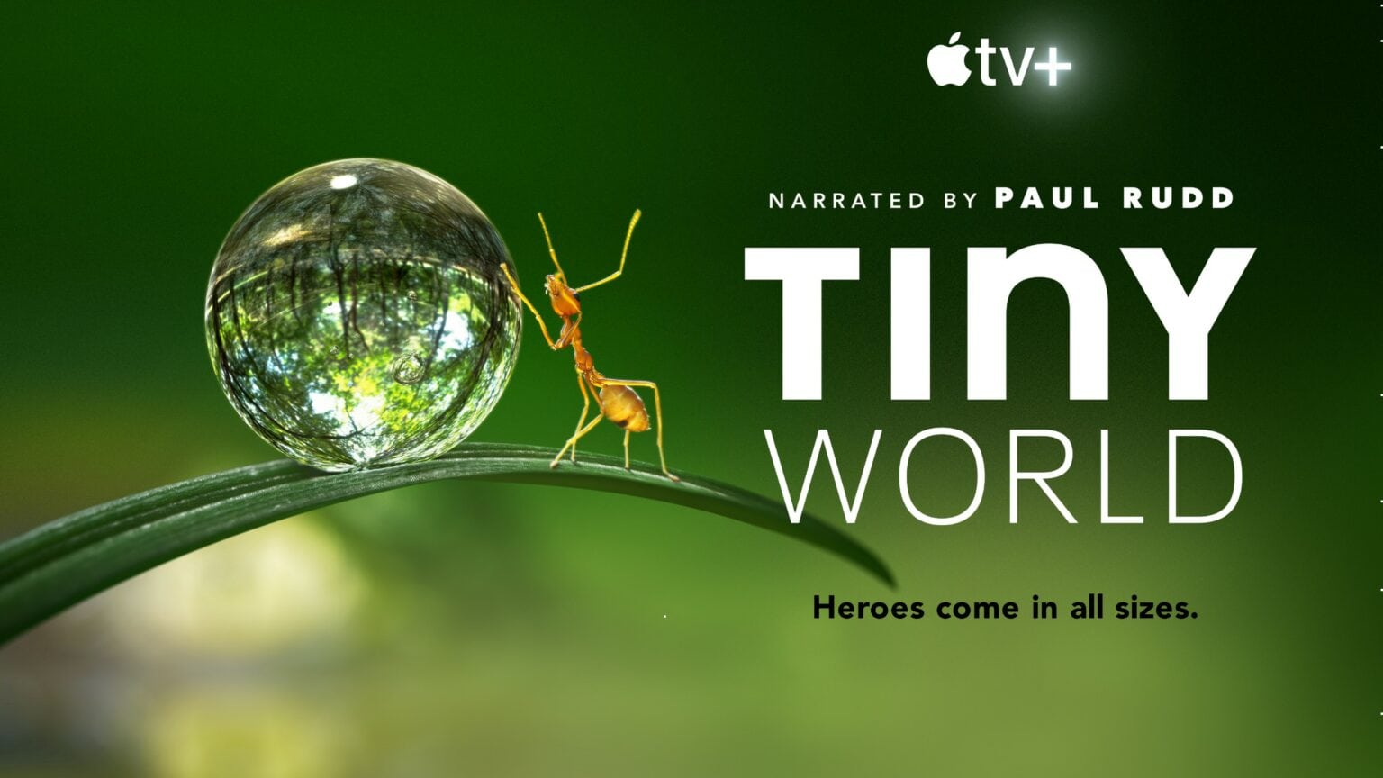 Ant-Man is the perfect narrator for Tiny World, an upcoming Apple TV+ nature documentary.