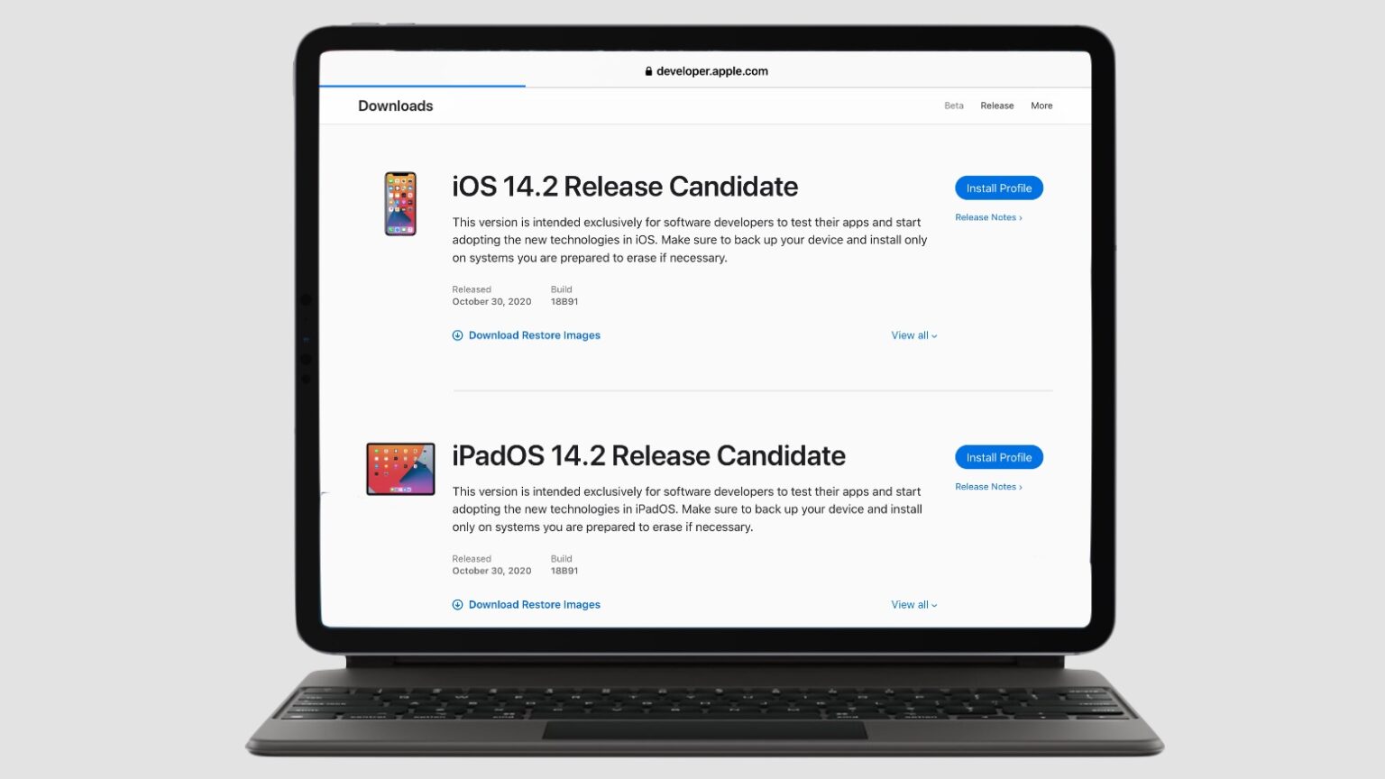 The iOS 14.2 golden master, along with the iPadOS equivalent, is available to developers.