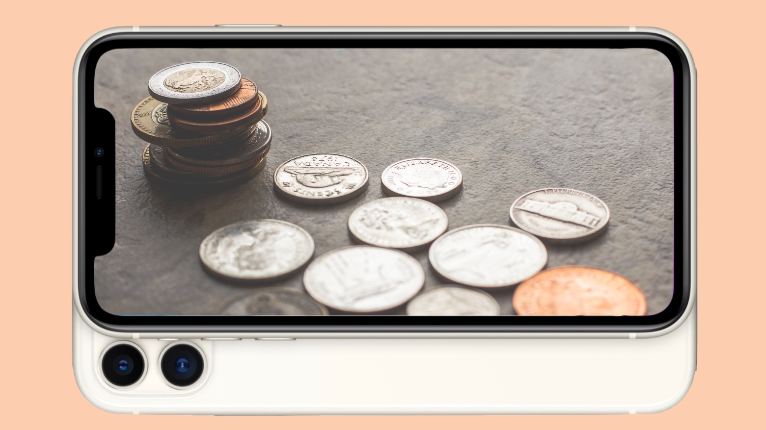 Small businesses pay a small percentage of App Store fees.