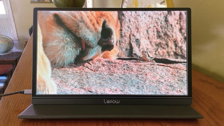 Lepow Z1-Gamut review: Portable, affordable display
