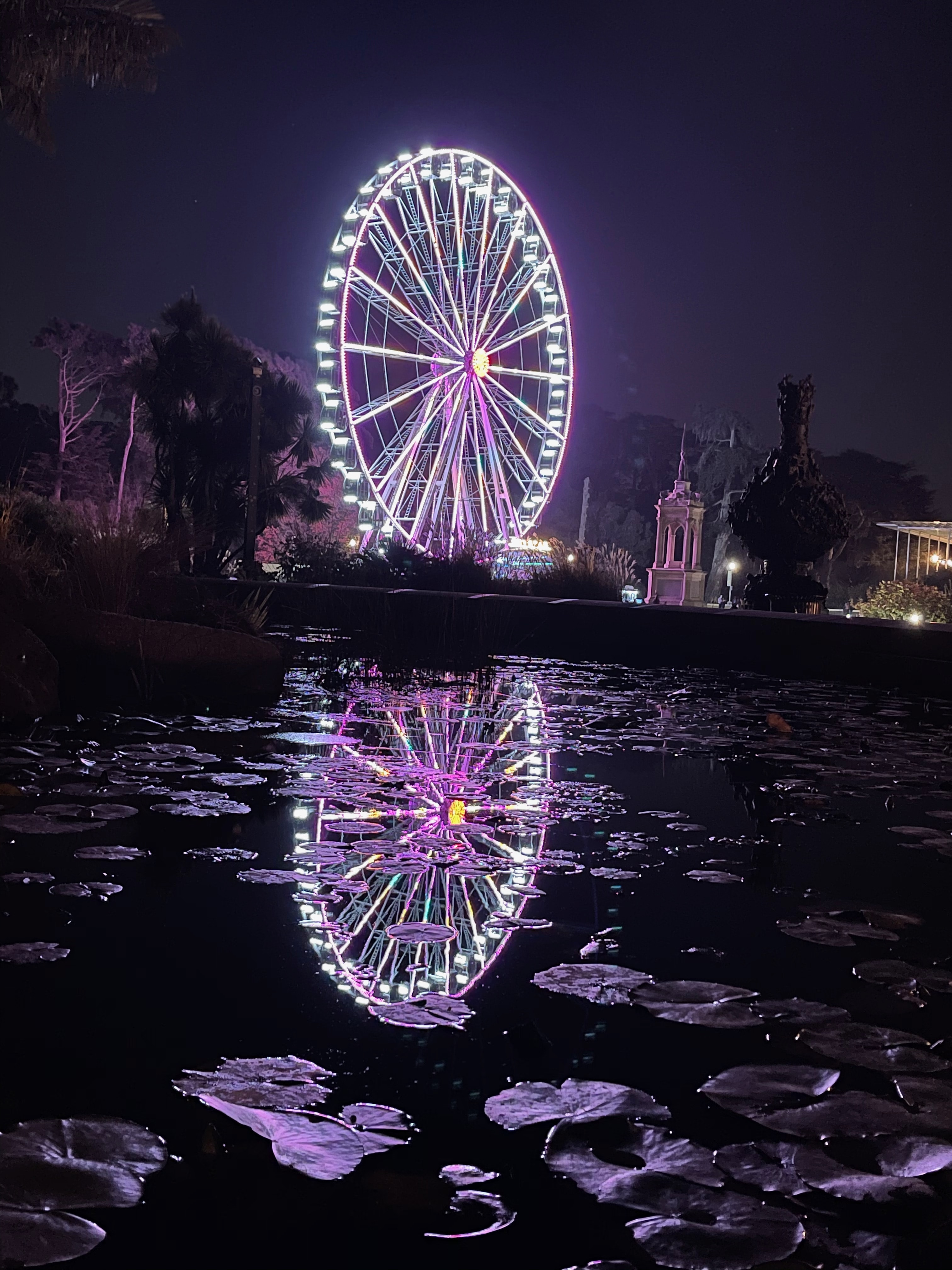 Not bad for a nighttime shot. San Francisco's SkyStar Wheel is a little blurred because the wheel was moving, and the lights themselves were constantly changing and pulsating.