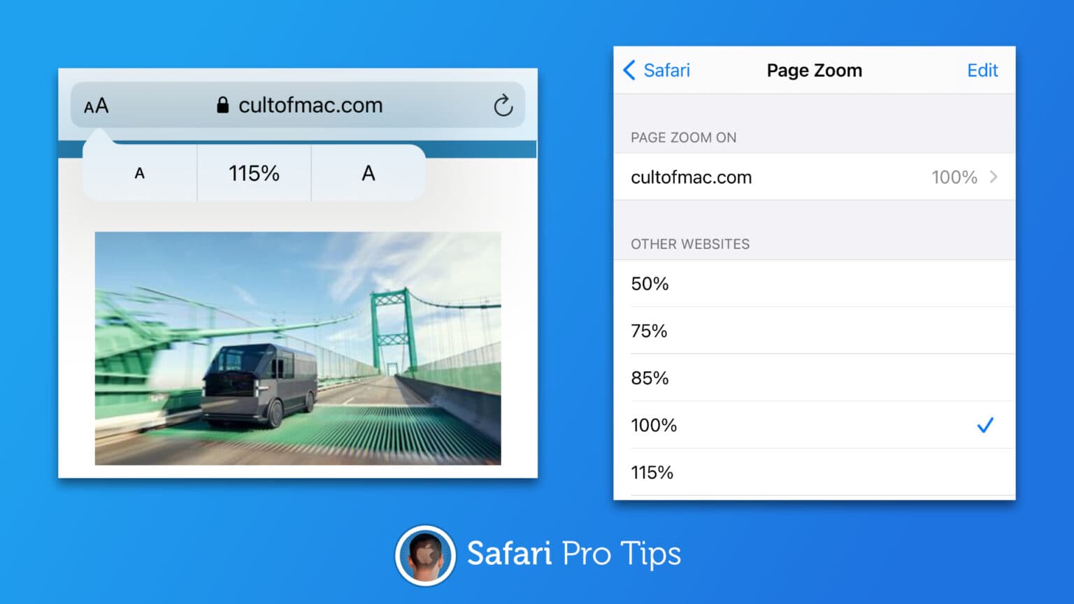 How to enable Page Zoom in Safari